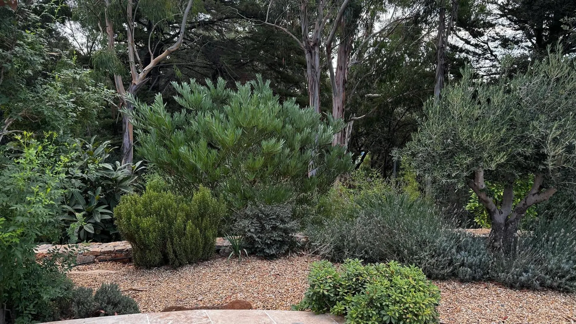 Le Mas Des Oliviers Grimaud