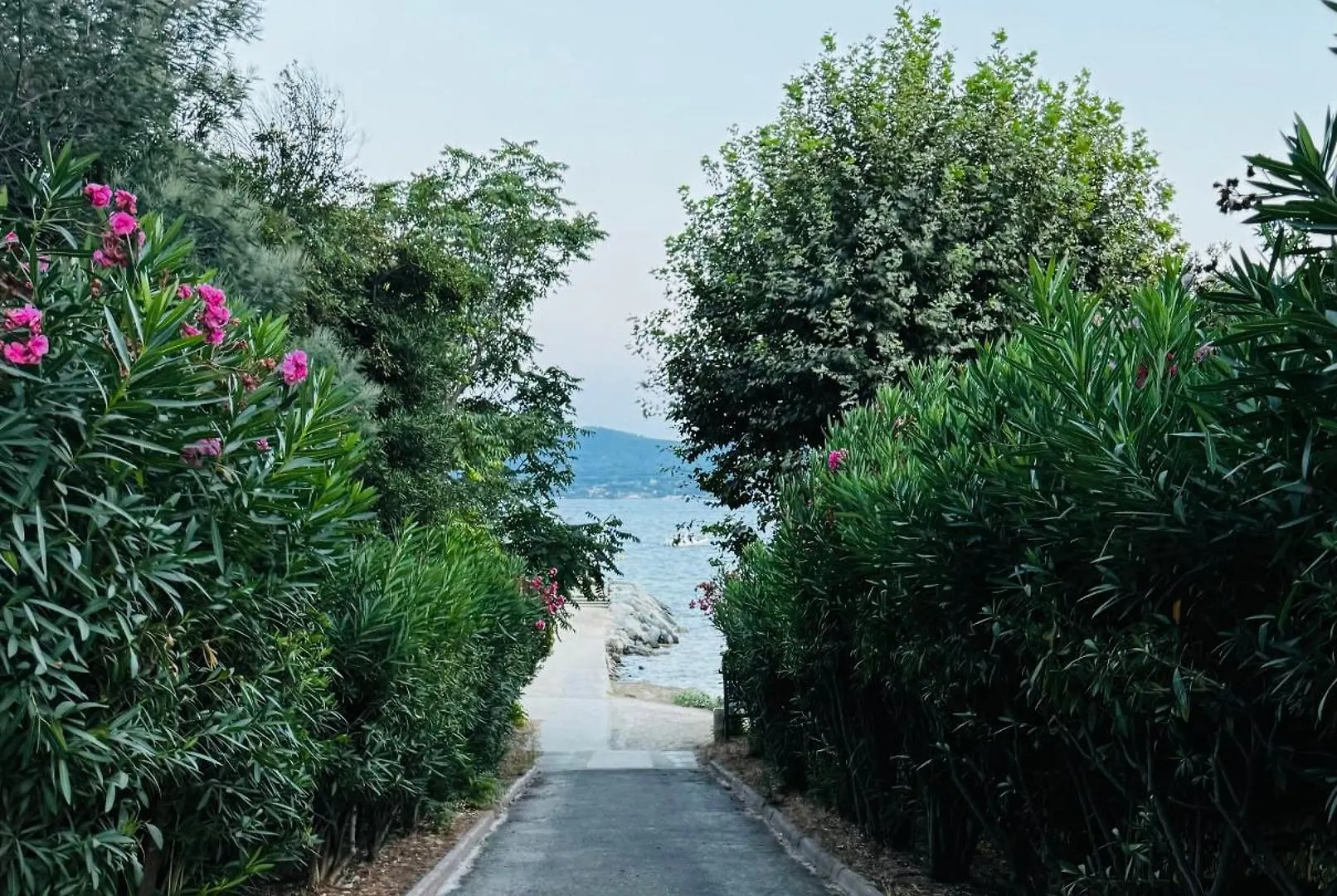 Le Mas Des Oliviers Grimaud Villa